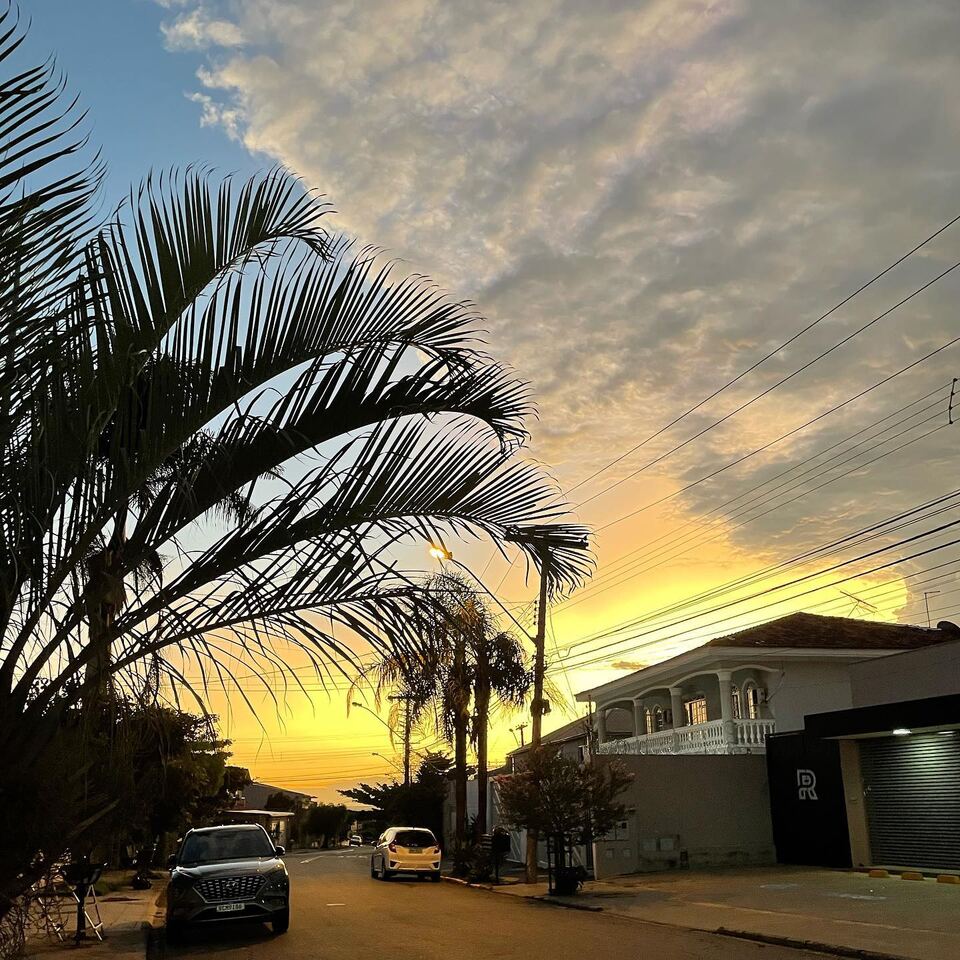 Entardecer na rua da Nova Suíça, com palmeiras recortadas contra o céu amarelo