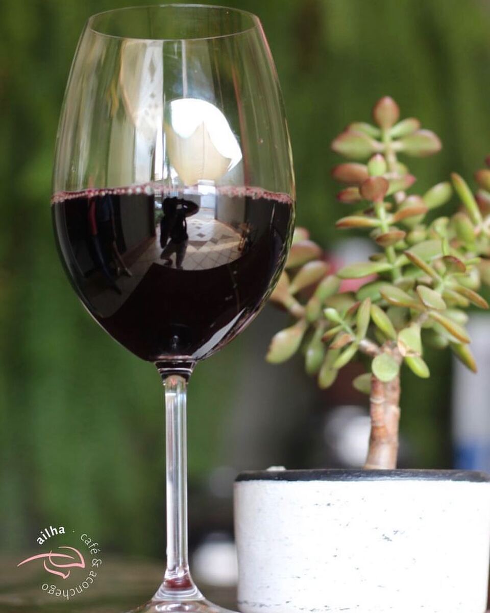 Taça de vinho tinto ao lado de uma suculenta, com o jardim desfocado ao fundo